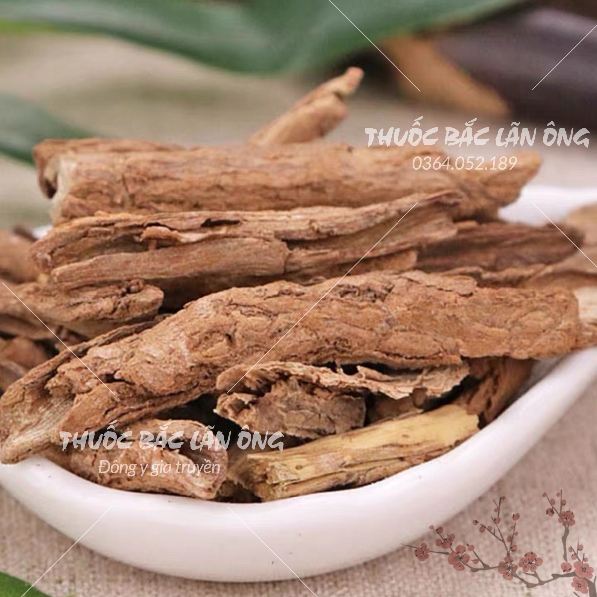 Địa cốt bì 500g thơm, sạch - Lãn Ông