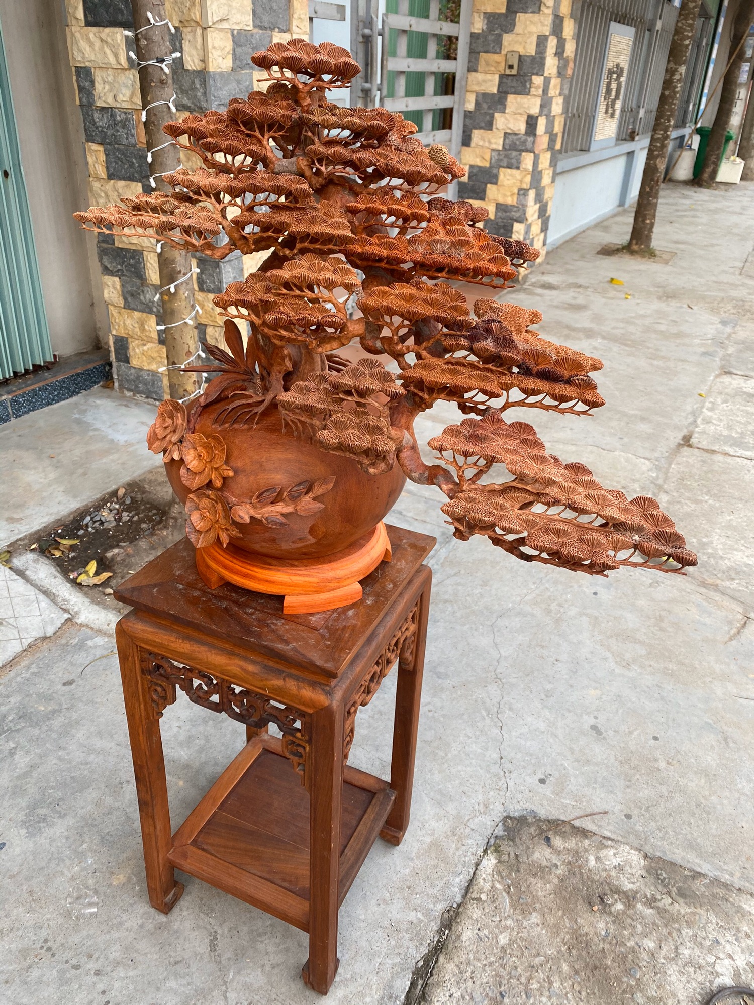 🍁🍁🍁BON SAI TÙNG THÁC  ĐỖ !!!
