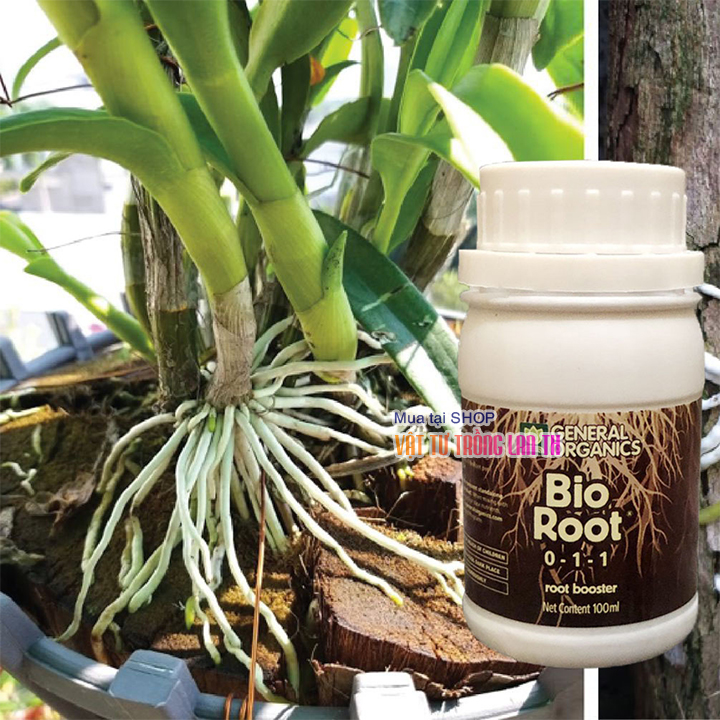 Kích rễ cực mạnh Bio-Root hữu cơ Mỹ - 100ml