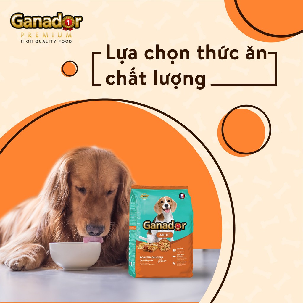 [400g] Thức Ăn Hạt Cho Chó Ganador, FIB's Nhiều Vị