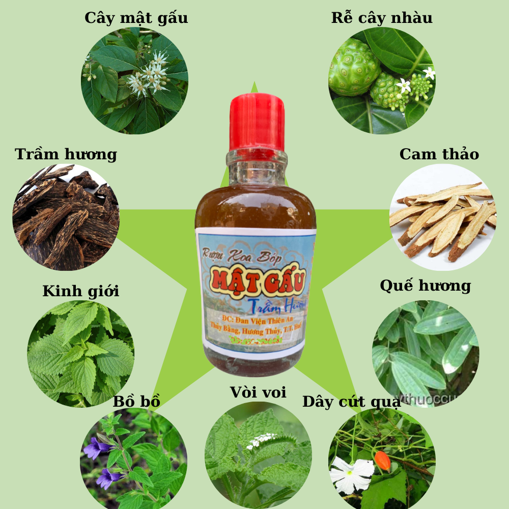 Dầu Xoa Bóp Cây Mật Gấu Thiên An