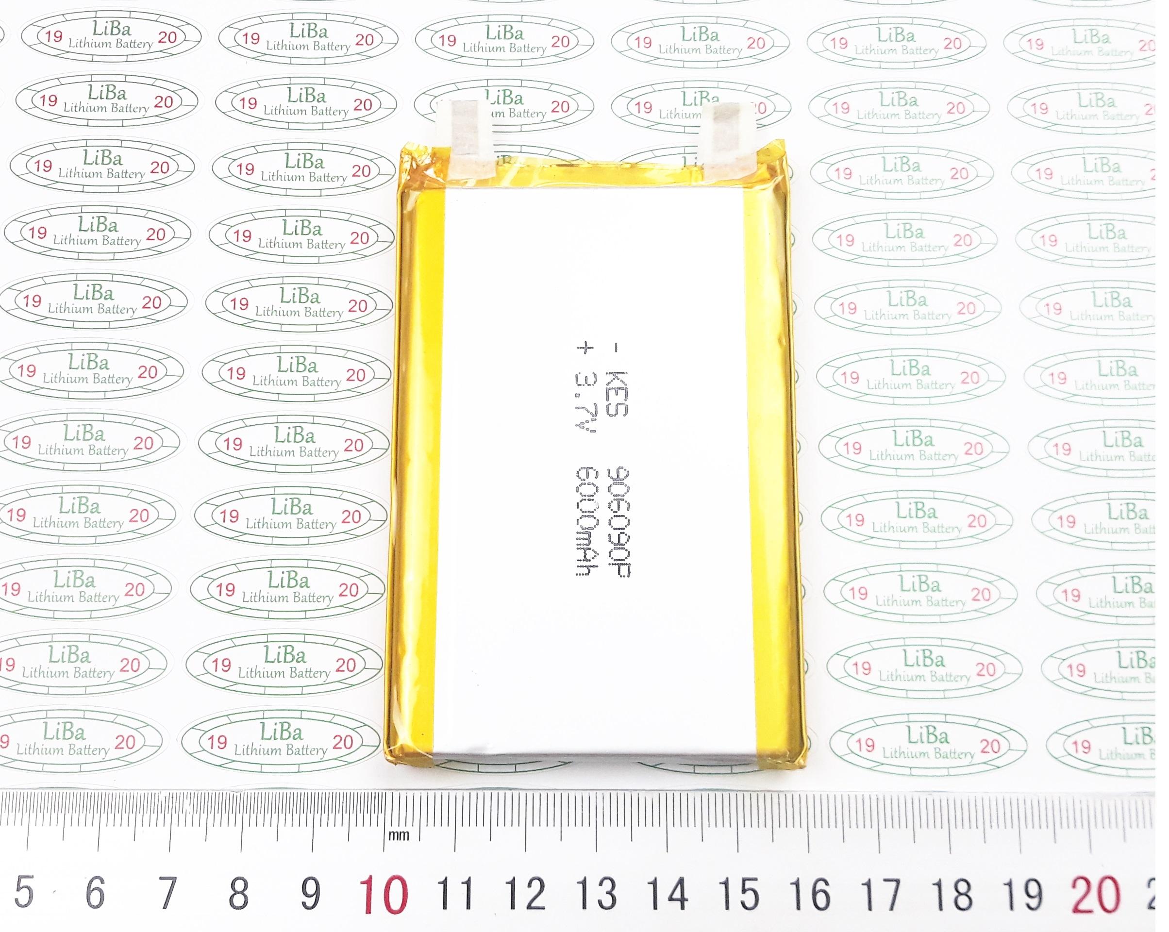[HCM]Lithium Polyme 3.7V 10000mAh....3000mAh kích thước 60 x 90 mm - LiBa
