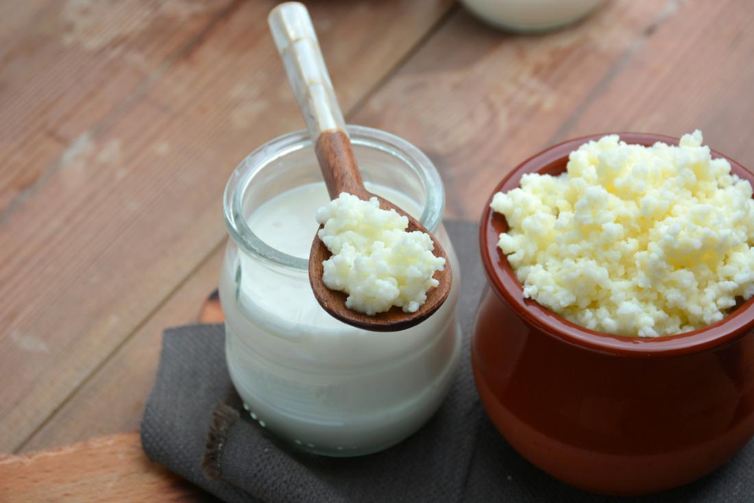 Nấm sữa Milk Kefir