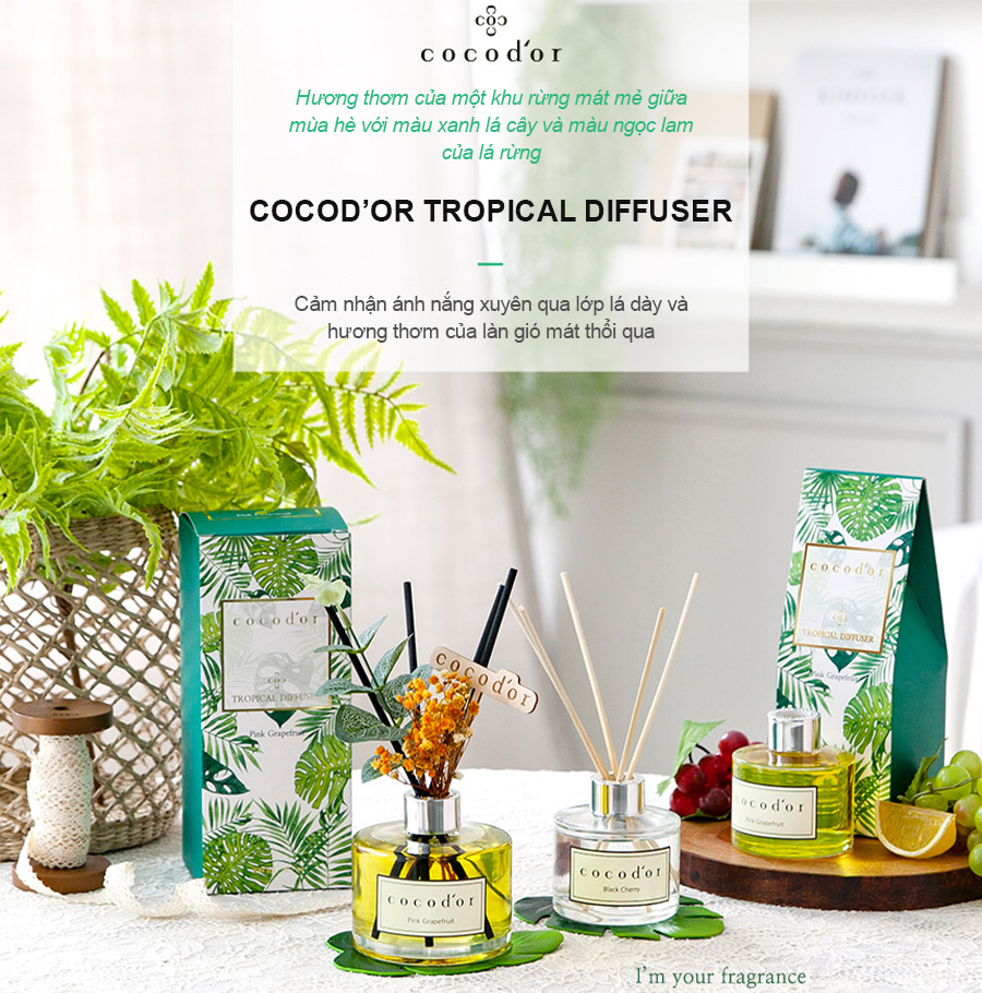 Tinh dầu tán hương Cocodor Tropical Edition Diffuser 200ml