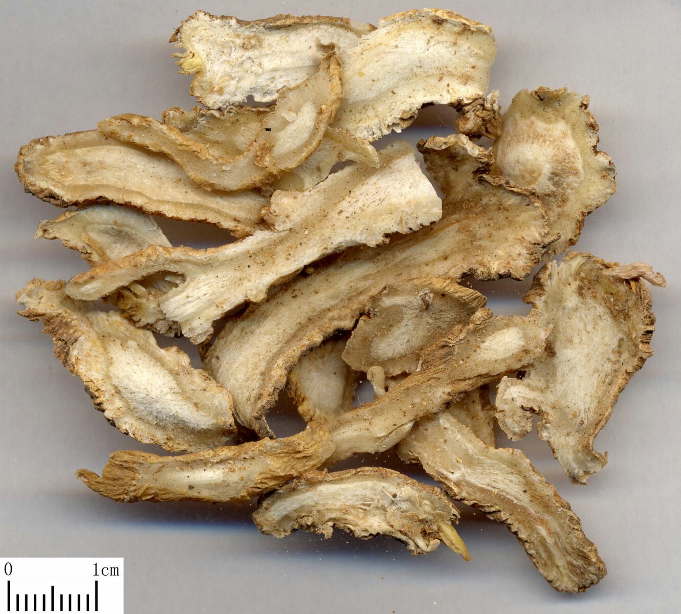 500g sâm quy sắc lát
