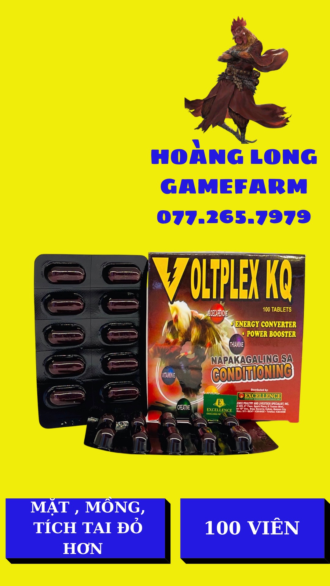 VOLTPEX KQ .Volplex KQ hộp 100 viên