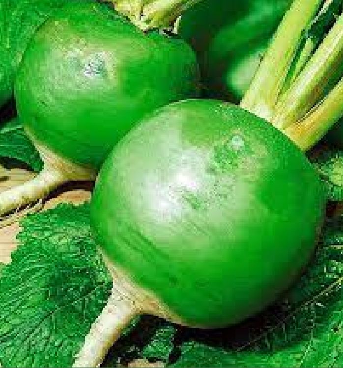 Hạt giống củ cải xanh ruột đỏ 2gram/gói