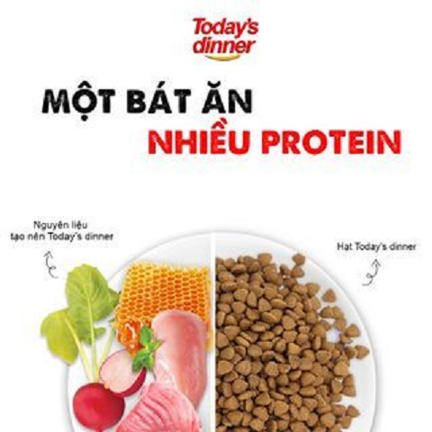 [HỎA TỐC] (5kg) Today's Dinner - Thức ăn hạt cho mèo mọi lứa tuổi nhập khảu Hàn Quốc
