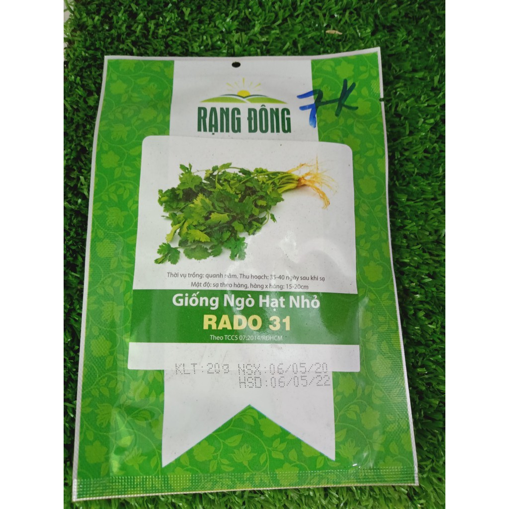 Hạt giống RĐ- NGò hạt nhỏ 31-7k