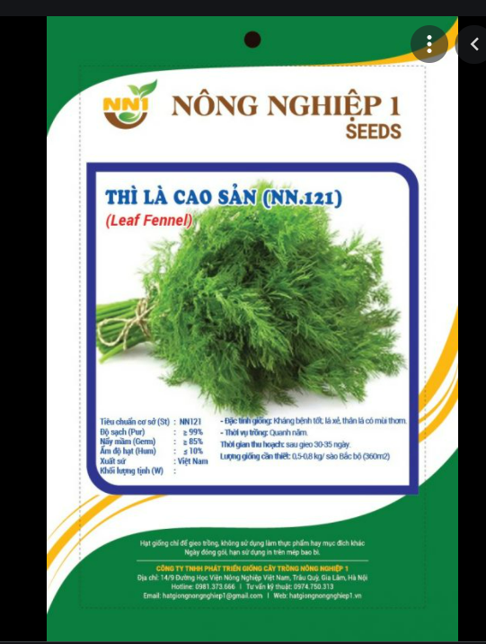 Hạt Giống Thì Là Cao Sản