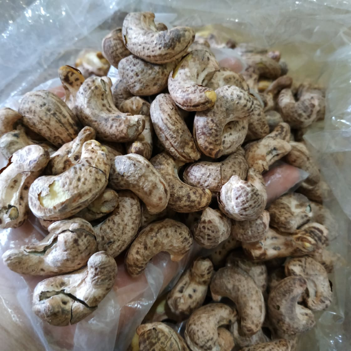 500gr Hạt Điều Nguyên Rang muối Đak Lak