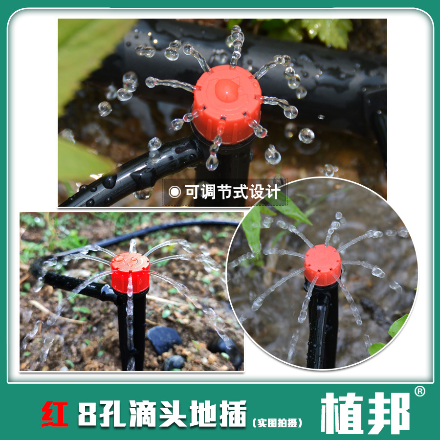 Cây cắm nhỏ giọt 8 tia