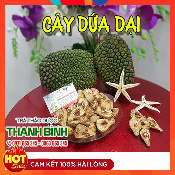 Cây Dứa Dại 500G Khô Loại 1 - Dược Liệu Thanh Bình