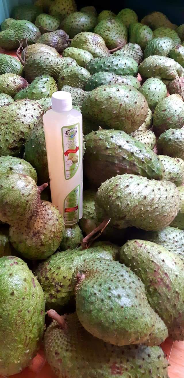 Sinh tố MÃNG CẦU xiêm 700ml ENNY Đà Lạt