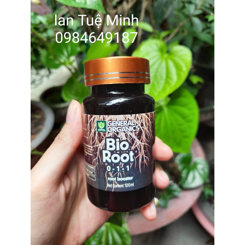 Siêu kích rễ bio root 100ml – kích rễ cực mạnh nhập khẩu từ Mỹ, mặt hàng đang được săn đón, chất lượng đảm bảo và cam kết hàng đúng mô tả