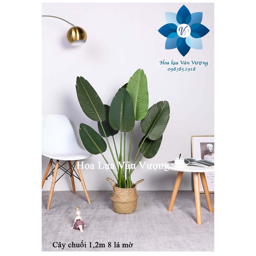 Cây giả 🌺 cây chuối cảnh lá mờ