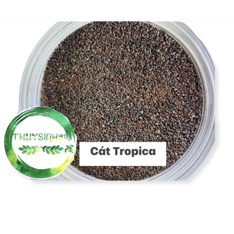 Cát Tropica trãi nền bể thuỷ sinh - bể biotop