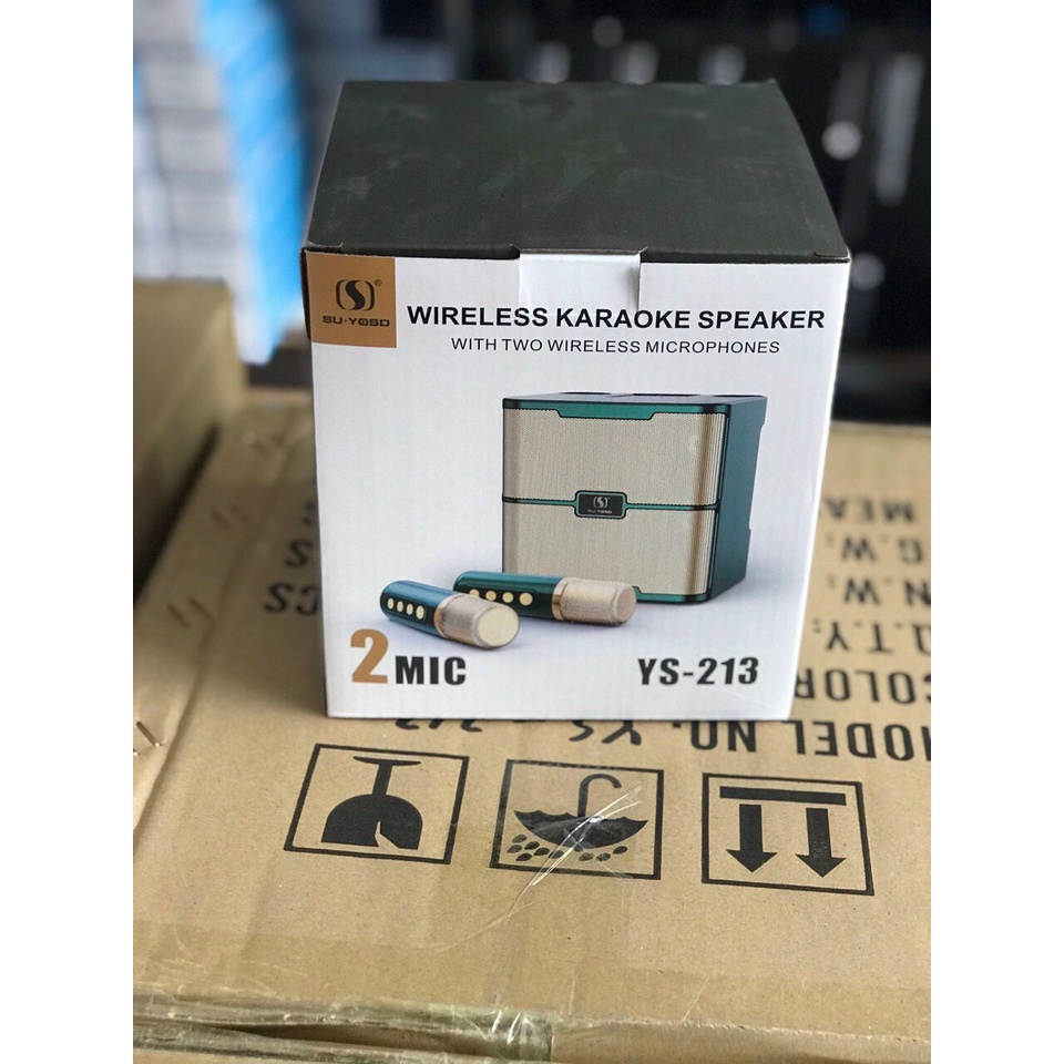 Loa karaoke mini kèm 2 mic YS213
