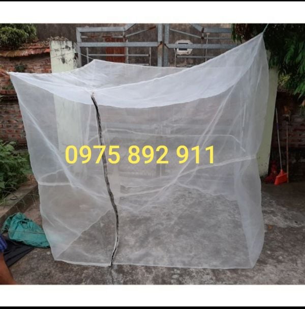 Mùng ruồi lính đen 2x2x2