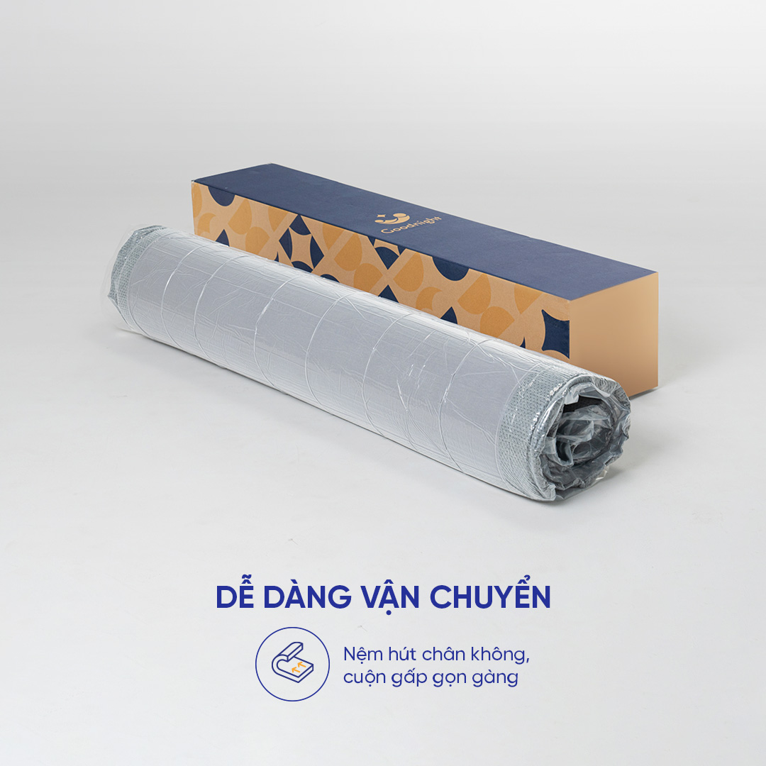 [HÀNG ĐẶT TRƯỚC] Nệm foam giảm áp lực Goodnight Hachi