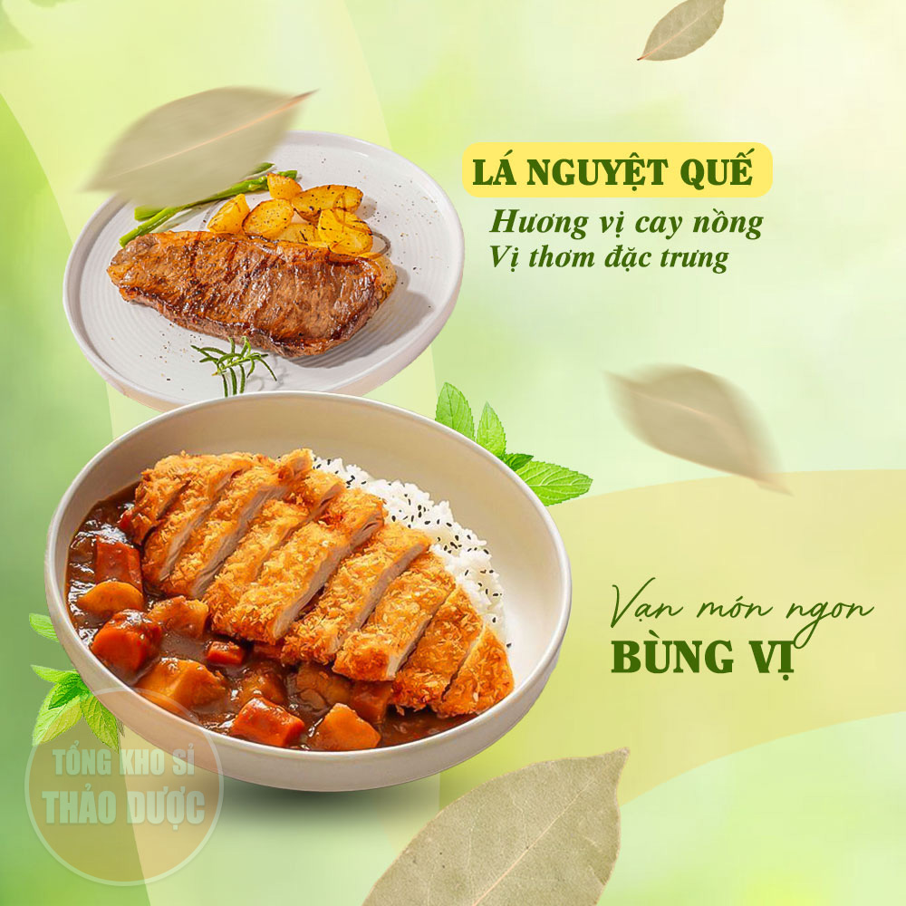 Lá nguyệt quế 50g, lá thơm, bay leaf, gia vị nấu ăn, trang trí, xông nhà, khử mùi, tốt cho tiêu hóa