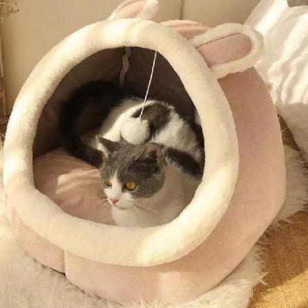 [Hoàn tiền 10%] 🥑Nệm Trái Bơ Siêu Cute Cho Chó Mèo🥑