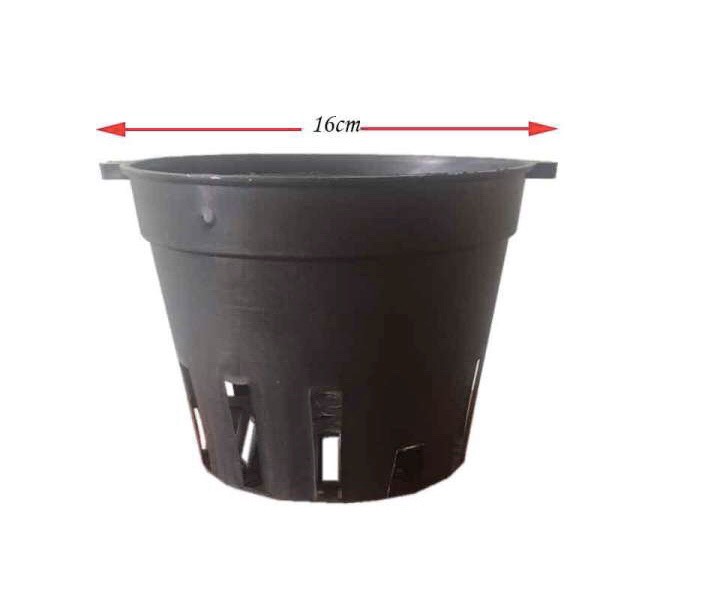 [Giá hủy diệt] bộ 10 chậu chựa trồng lan phi 16