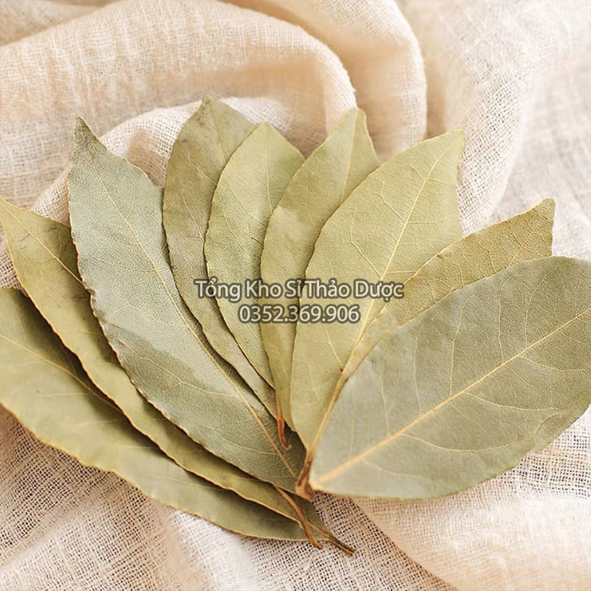 Lá nguyệt quế 500g, lá thơm, bay leaf, gia vị nấu ăn, trang trí, xông nhà, khử mùi, tốt cho tiêu hóa