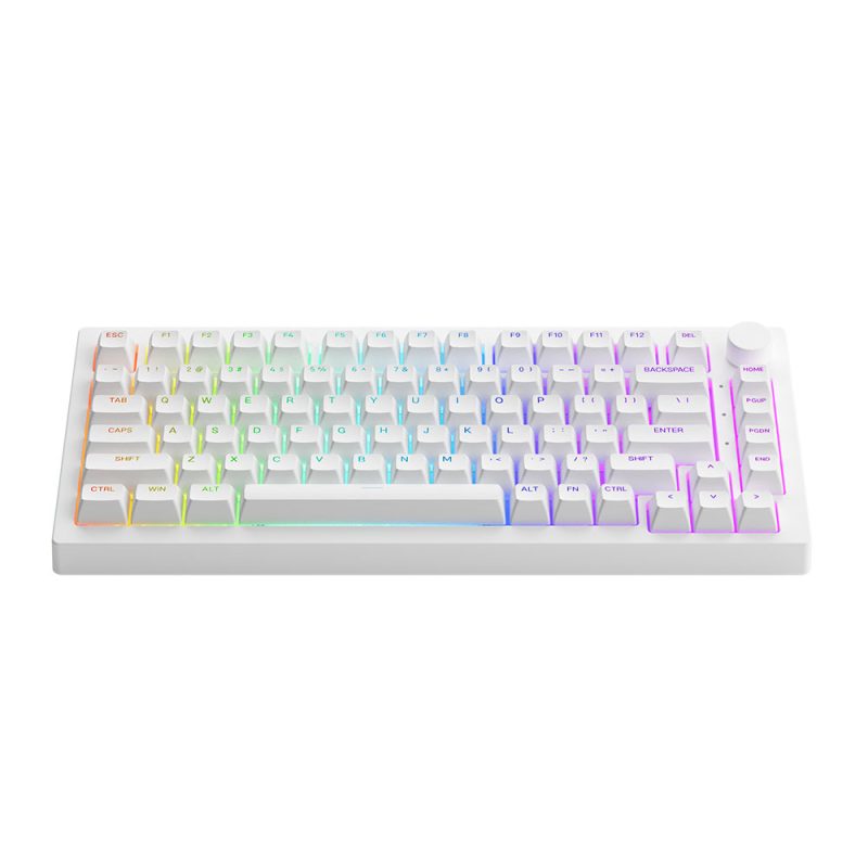 Akko 5075b plus mechanical keyboard White (multi-moment/RGB/gasket mount) -authentic