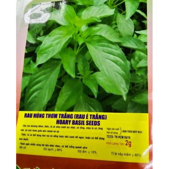 Hạt giống rau húng thơm rau é trắng - gói 2 gram