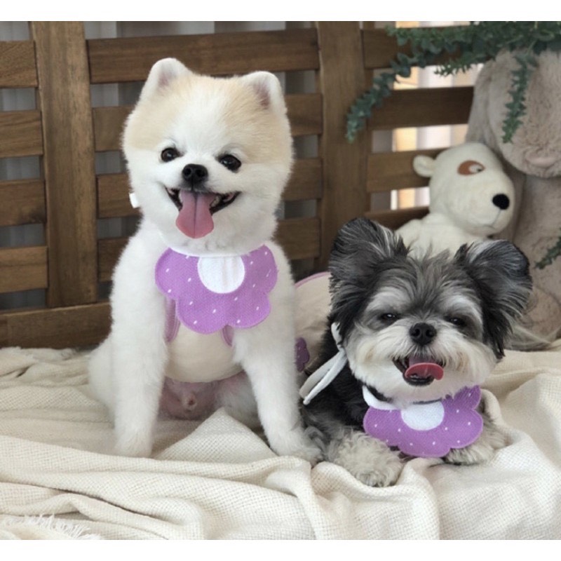 Yếm đeo cổ phong cách Hàn Quốc dễ thương
