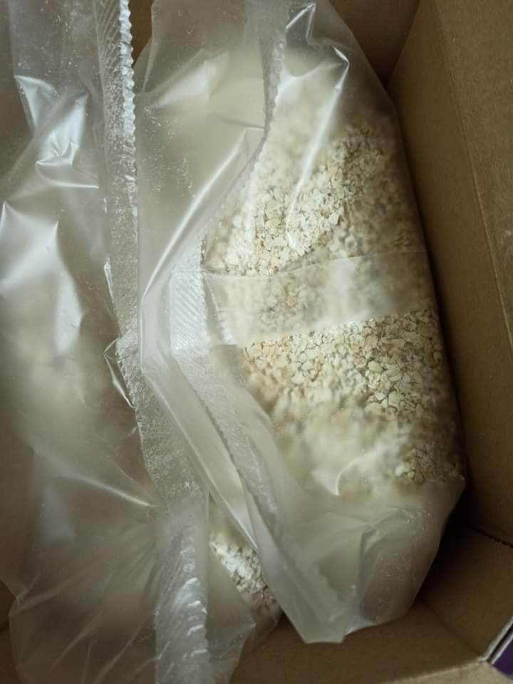 Yến mạch hữu cơ Đức Hafer Flocken 1kg