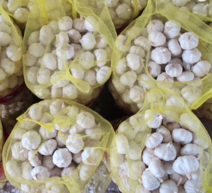 1kg tỏi Ninh Thuận, tép to