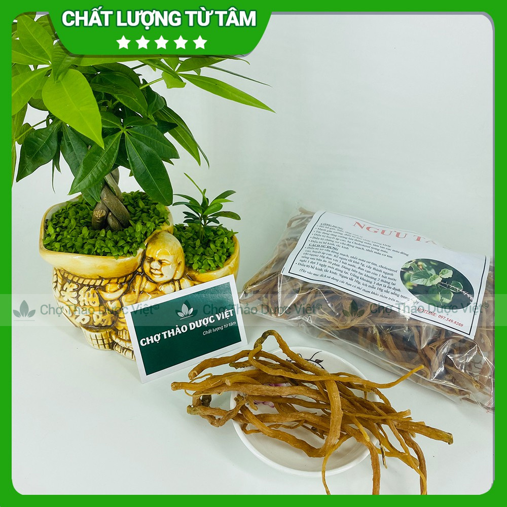 100g Ngưu Tất Nam (Khô, Thơm, Sạch)