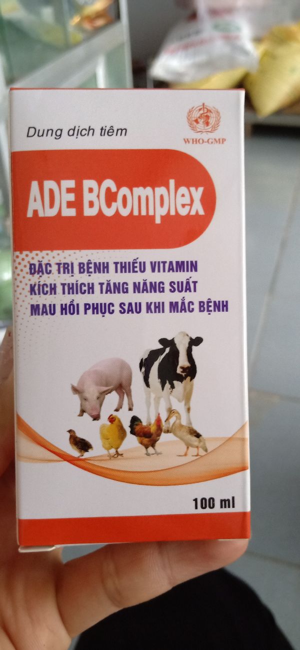 Ade Bcomplex 100Ml Nhanh Hồi Phục Sau Khi Bệnh - 203