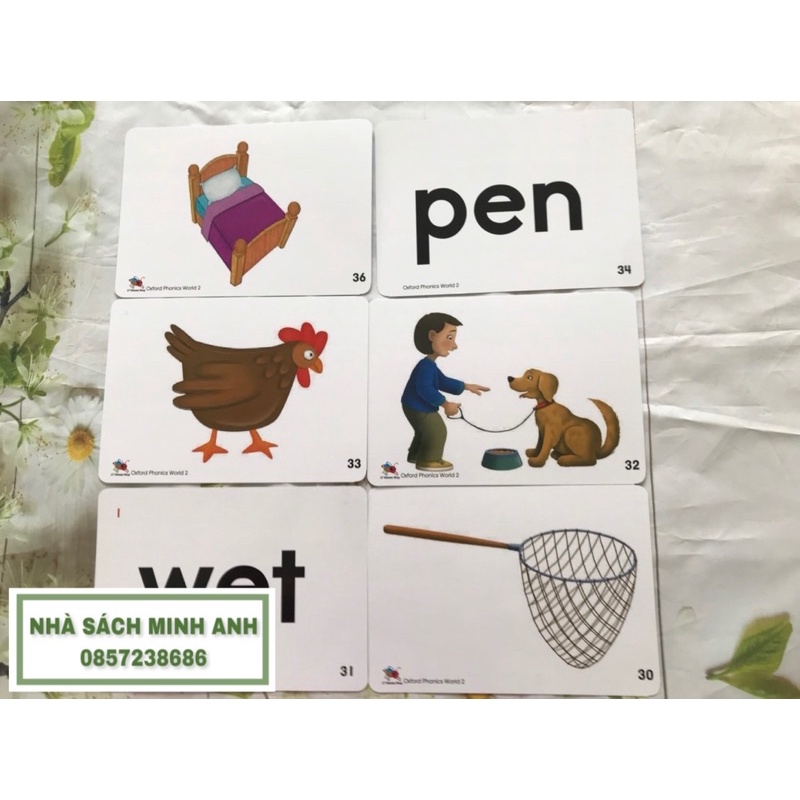 Flashcard OXFORD PHONICS WORLD 2 - 93 thẻ