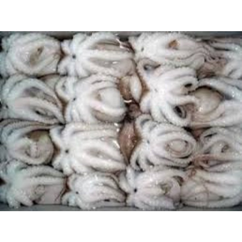 Bạch tuộc sữa vĩ 400gr (giao tphcm)