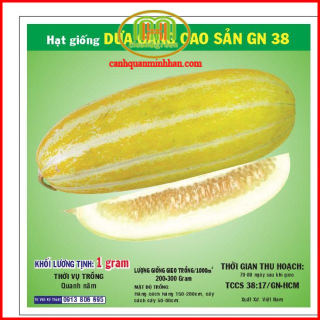 Hạt giống dưa gang 1gr|Minh Hân Garden