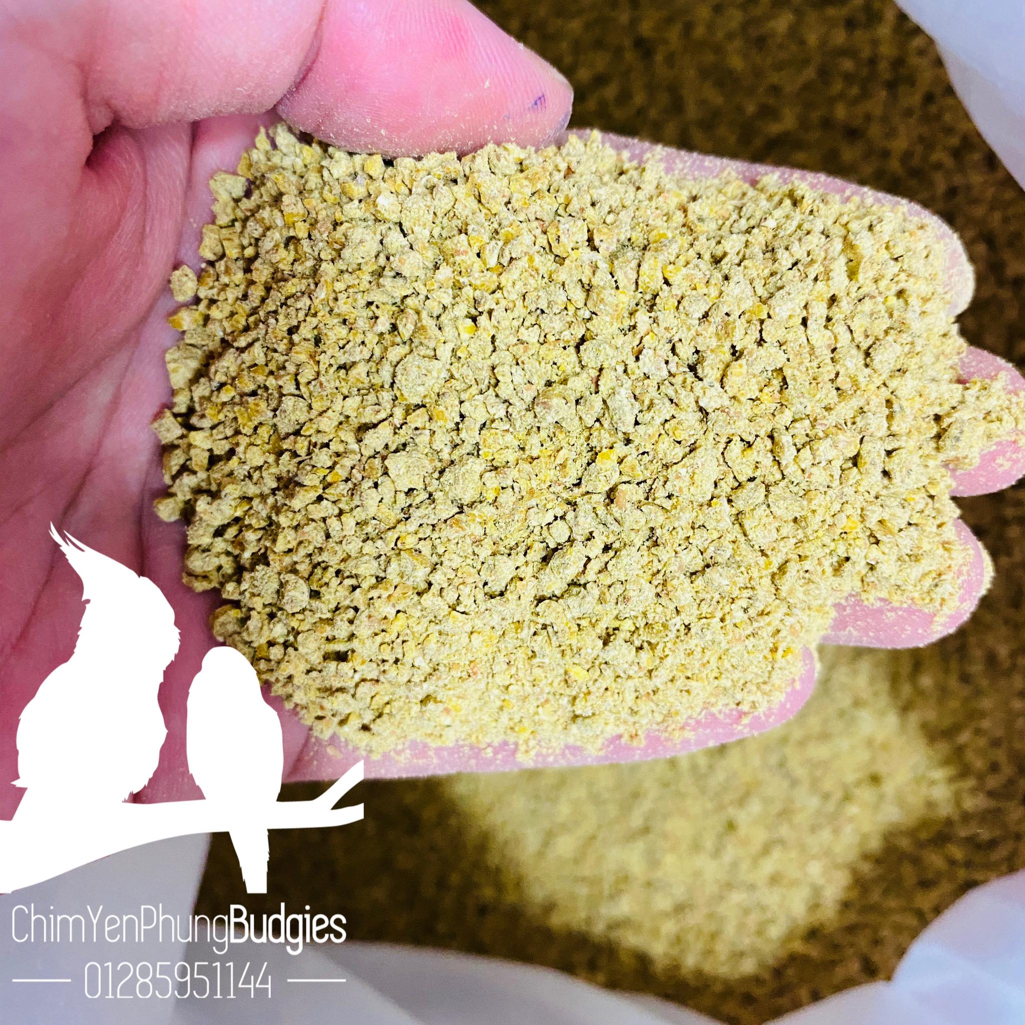 1kg Cám Bể Cho Gà Con Thanh Bình – Thức Ăn Hỗn Hợp Dinh Dưỡng Cao, Giúp Gà Phát Triển Tốt