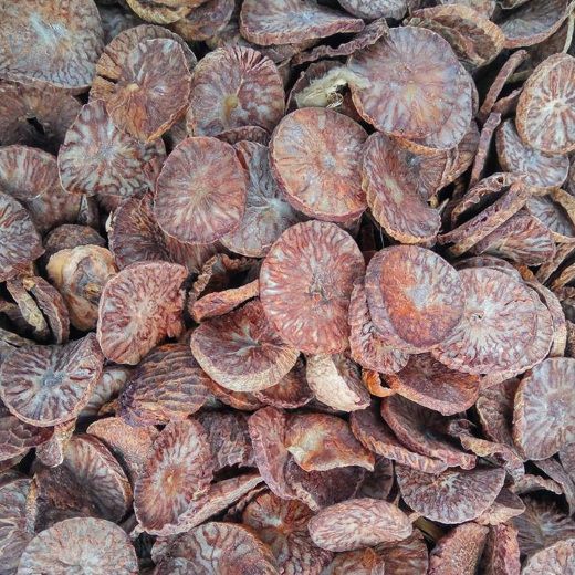 Hạt cau 1kg khô