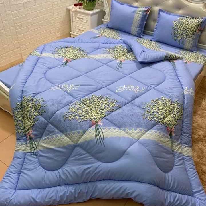Bộ ga gối chăn phao 5 món poly cotton