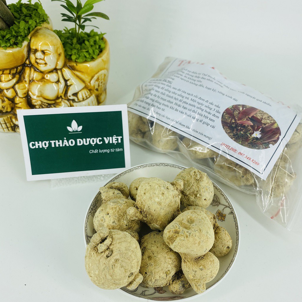 Tam thất nam khô 500g, củ to, hỗ trợ bổ máu, lưu thông khí huyết, ổn định hyết áp, giảm đau xương khớp