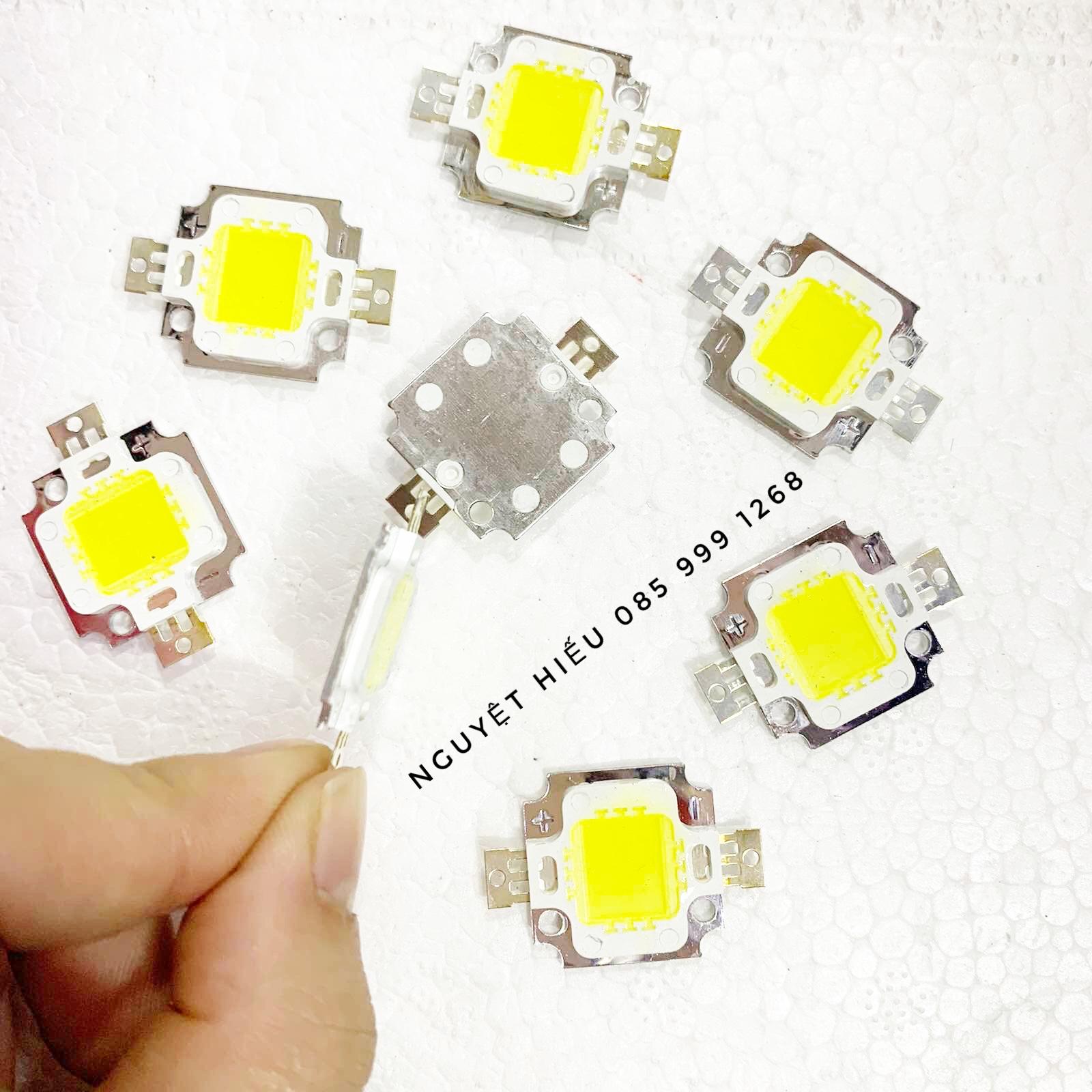 5 nhân chip đèn Led 12v 10w