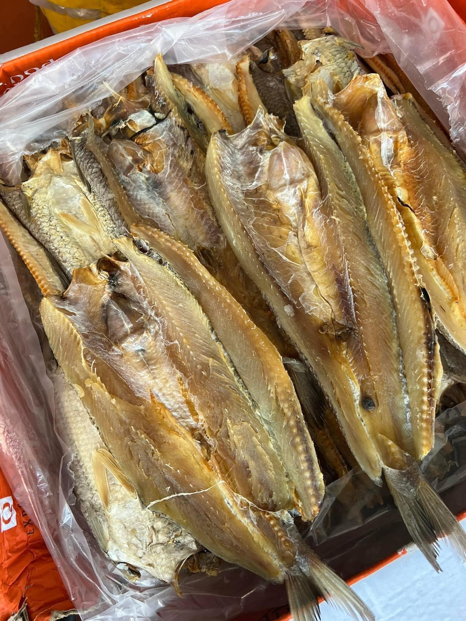 Khô Cá Mối (Túi 500gr)