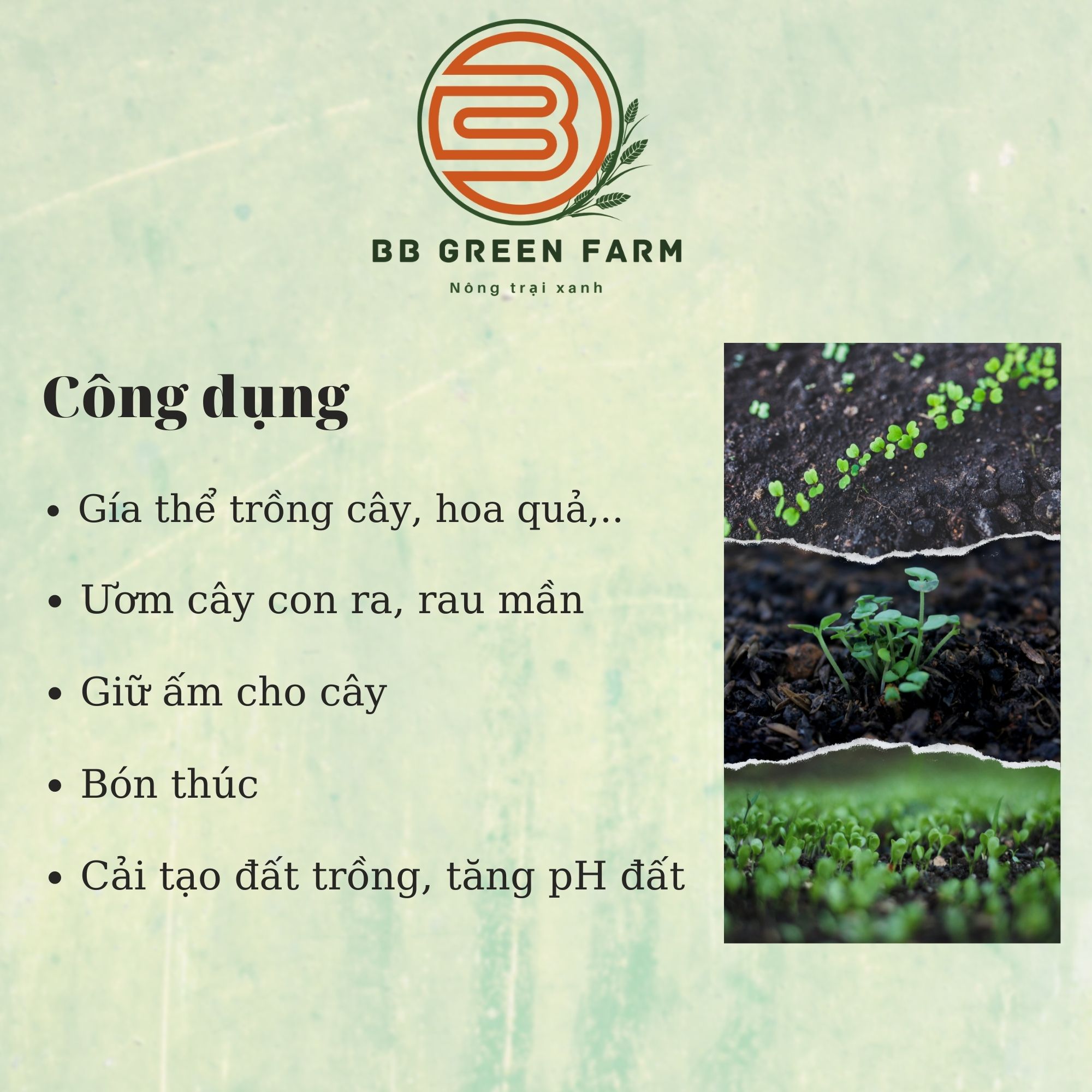 Phân bò khô - BB Green Farm (5dm3)