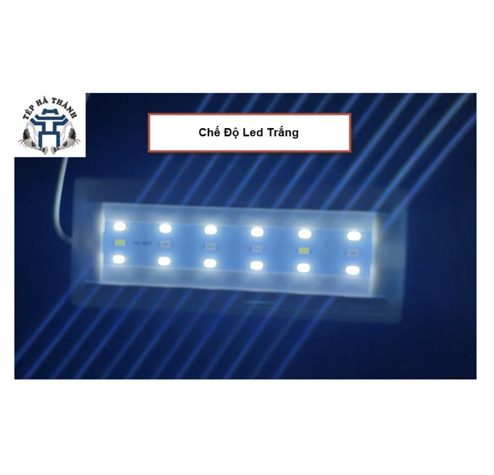 [Hoàn Tiền 10%] Đèn Led 3 Chế Độ Màu Lebaoyu Bể Cá, Bể Thủy Sinh 80cm