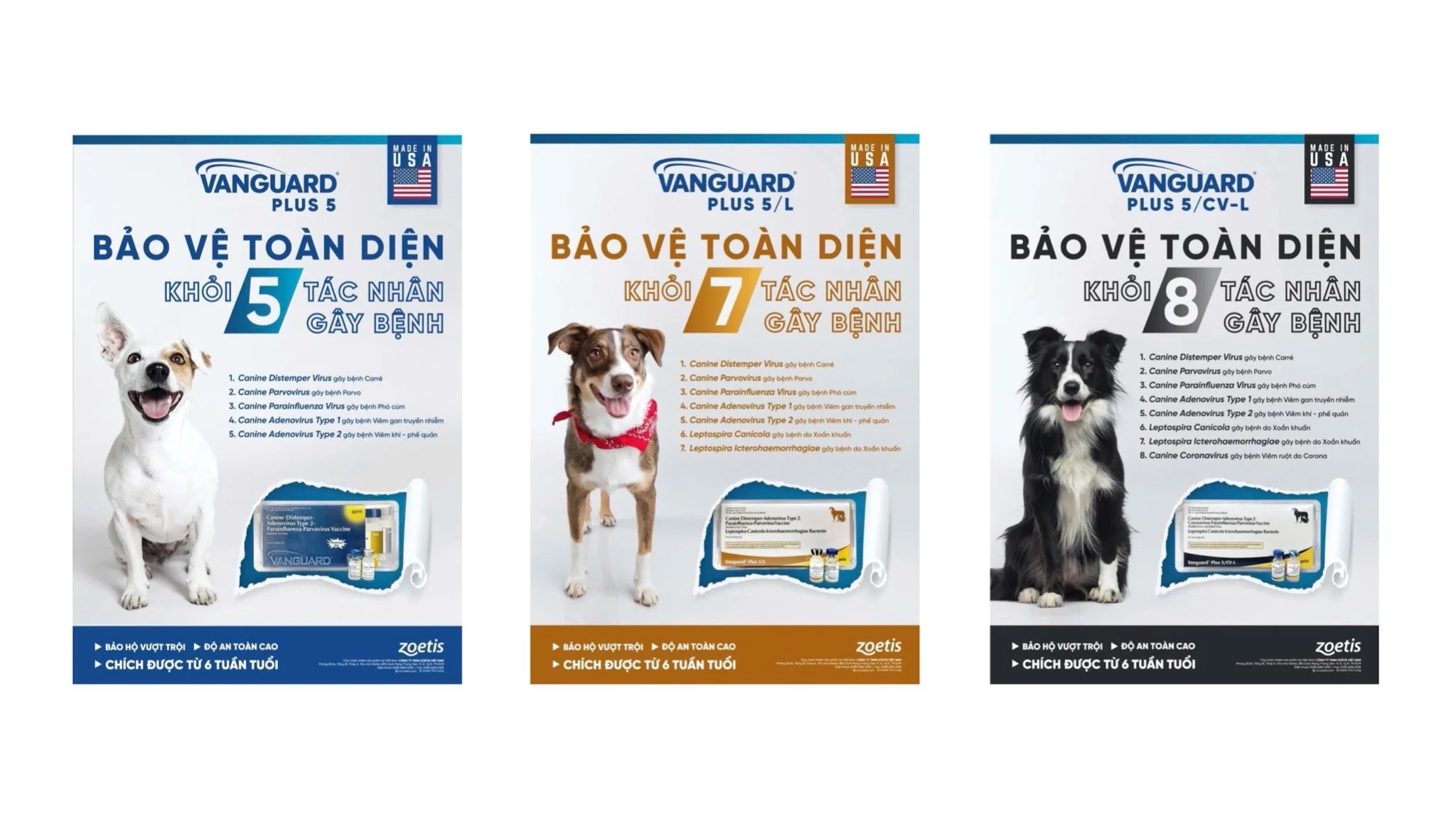(Hoả tốc) Hướng dẫn tiêm vắc xin chó 7 bệnh (tặng bơm kim tiêm)