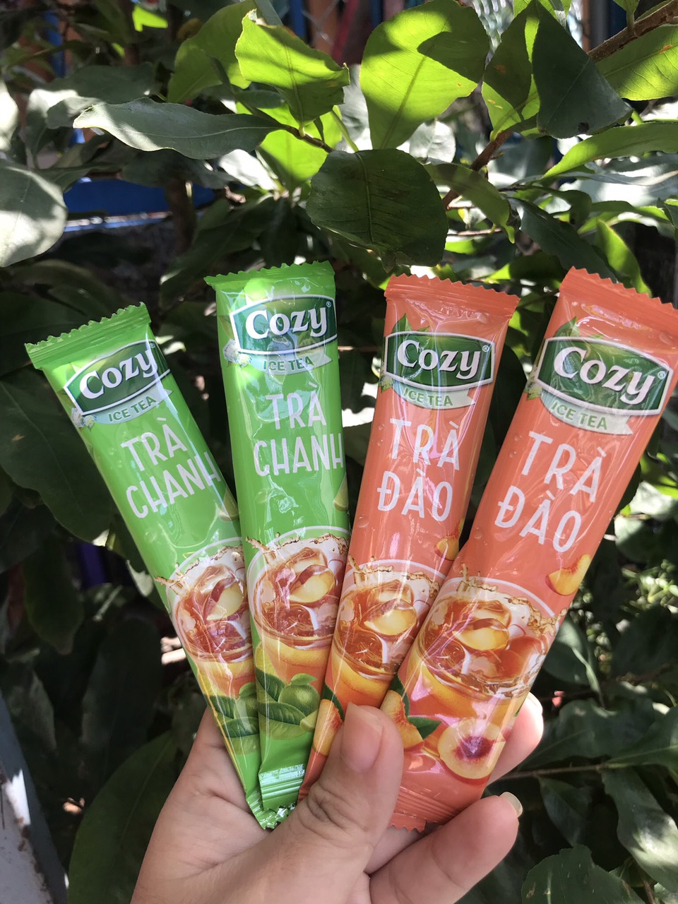 TRÀ COZY HÒA TAN HƯƠNG ĐÀO 270GR