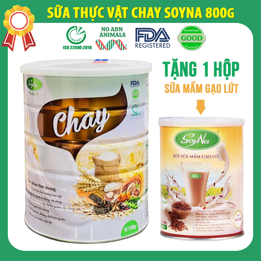 Sữa Chay Soyna 800gr tặng kèm 1 hộp Sữa Mầm Gạo Lứt