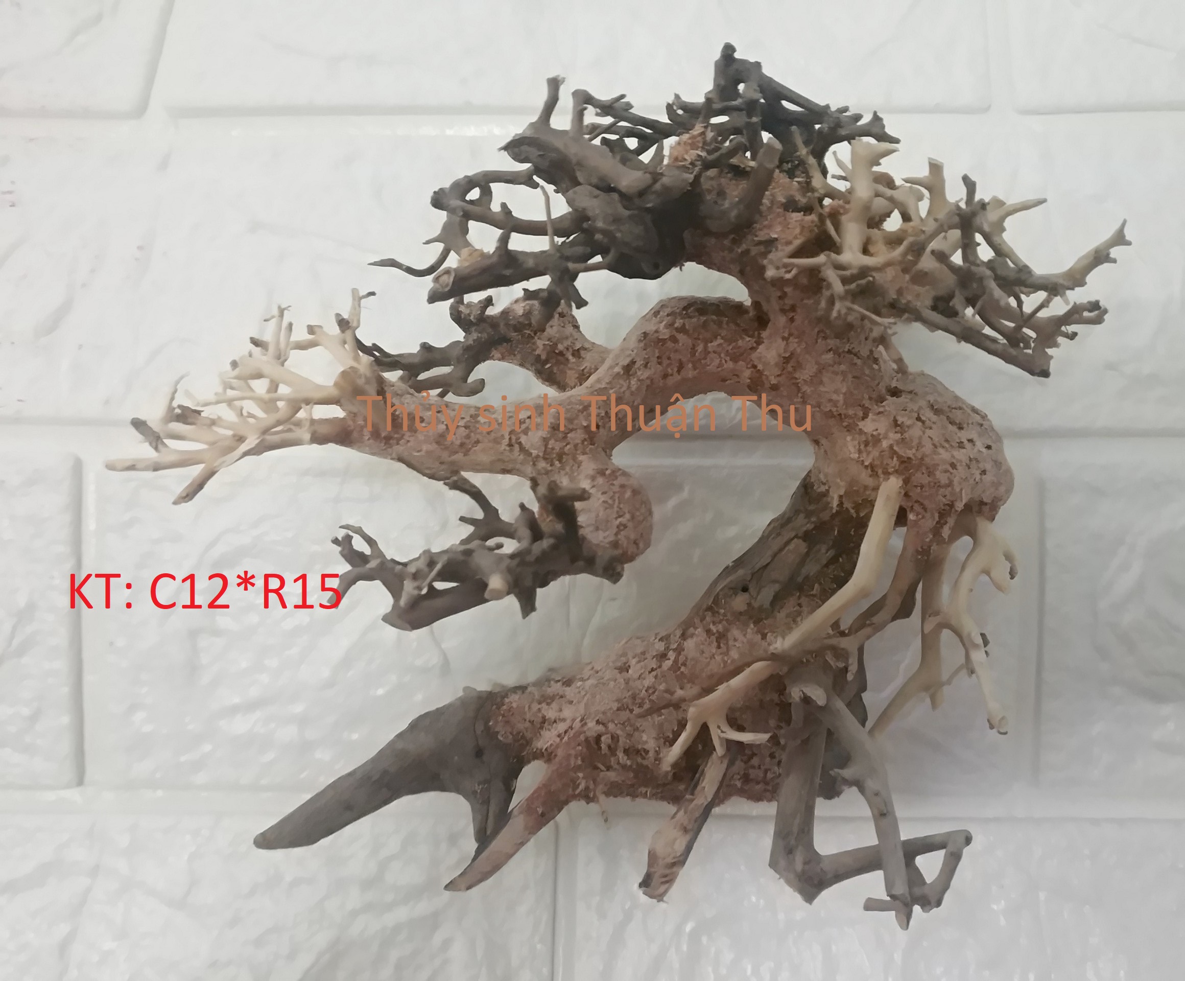 Lũa Bonsai  trang trí bể Thủy Sinh đẹp (lũa ghép)